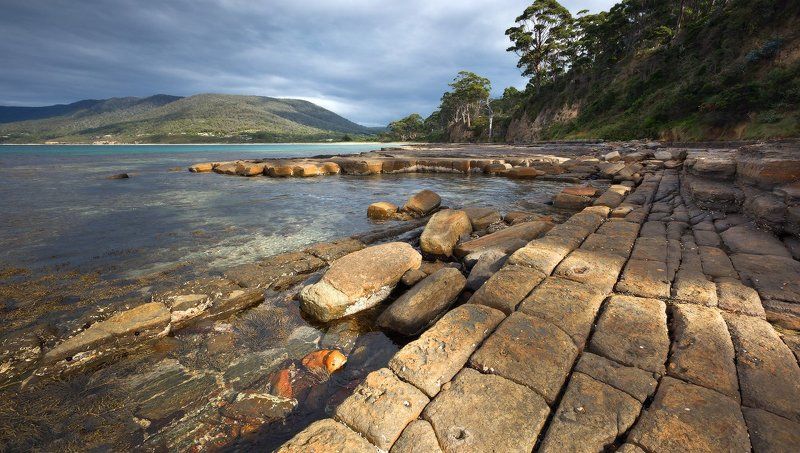 tessellated pavement, tasmania Tessellated pavementphoto preview