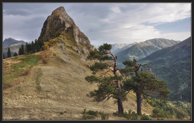 горы, сосны, пик, закан Говорящие с ветром...photo preview