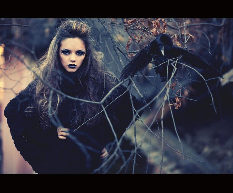 eye, crows Eye crowsphoto preview