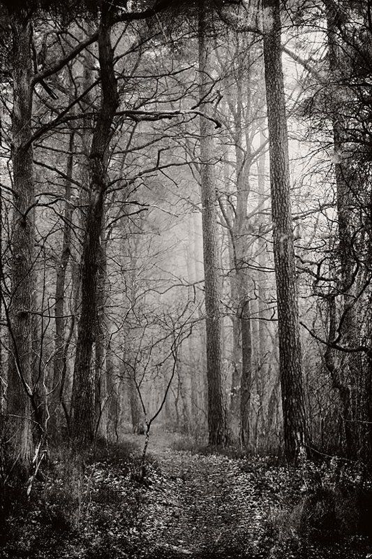 НАСТРОЕНИЕphoto preview