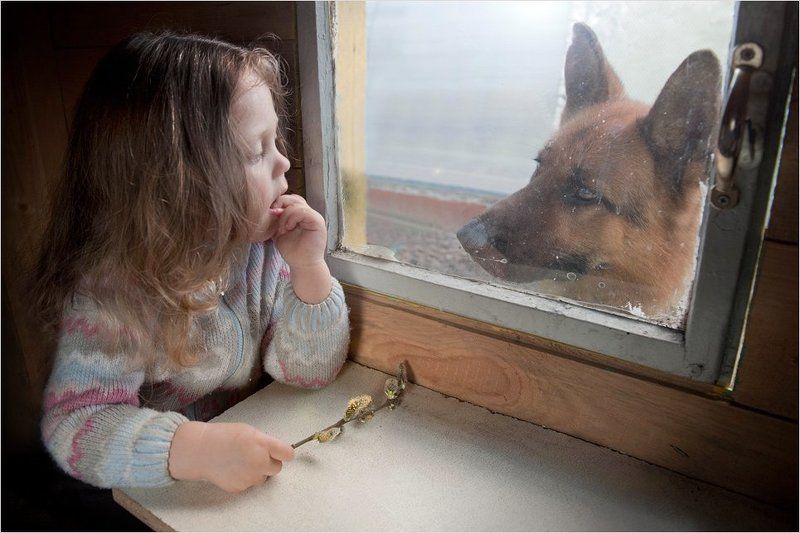 жанр, портрет, дети, животные, собака \