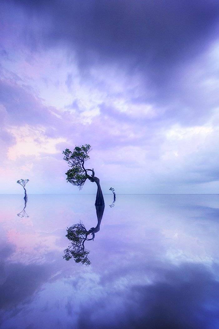, suk eun kim
