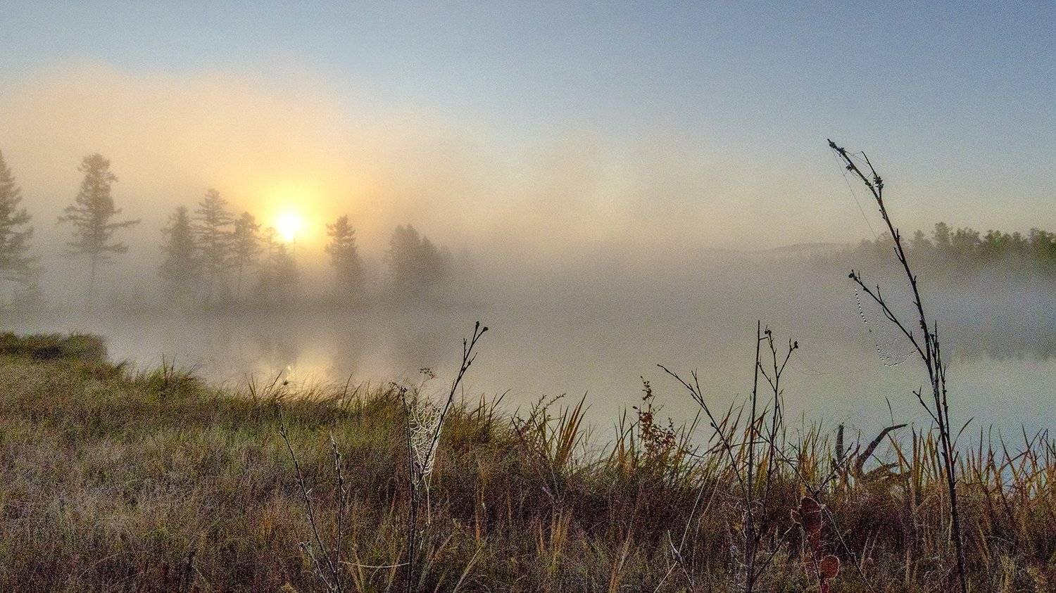 , Сергей Козлов