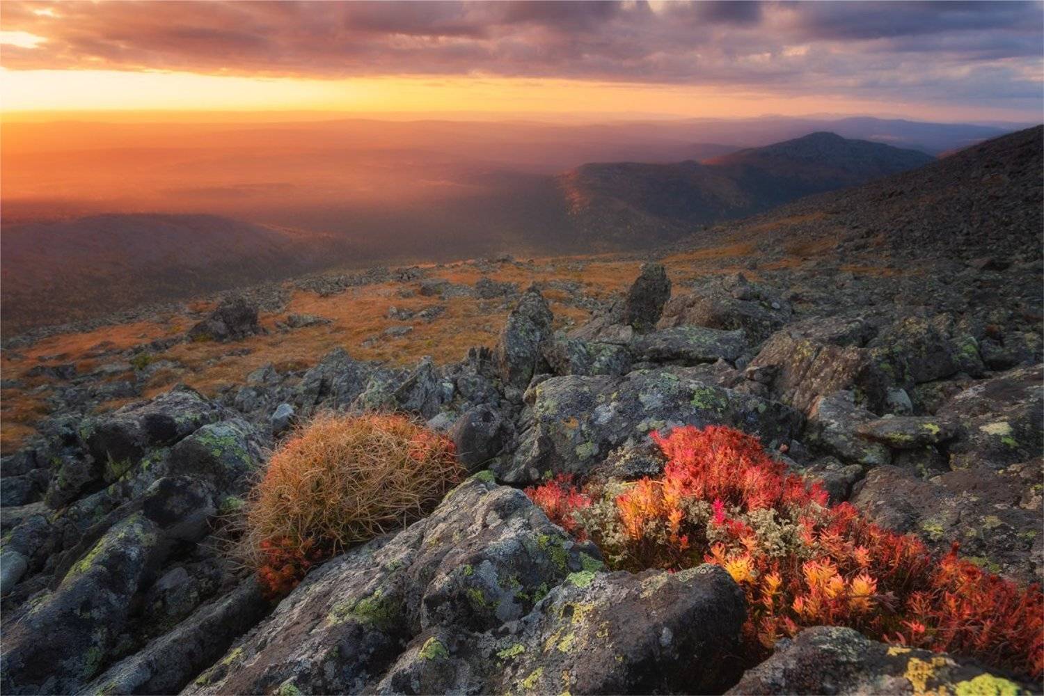 урал,горы,осень,золото,конжак,иовское плато,яркое,закат,небо,тайга,камни,лиственница,, Николай Бузмаков