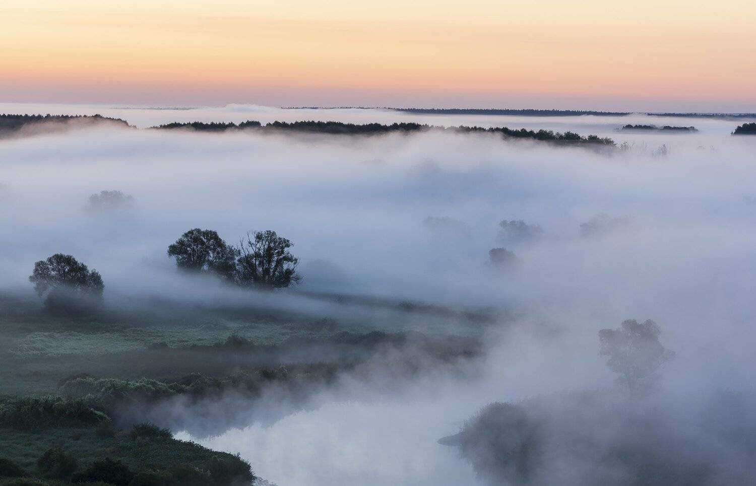 , Дмитрий Новоселов