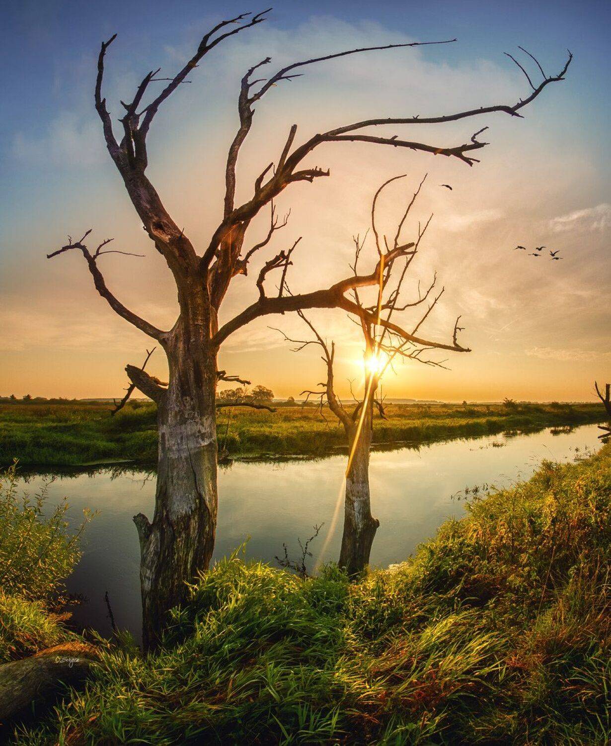 Беларусь, Серж Домбровский