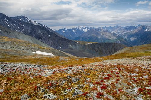 Каратюрек
