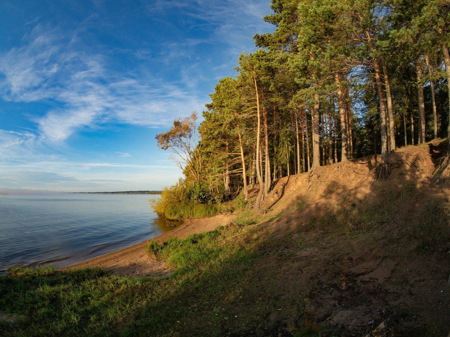 , Марина Брыдня