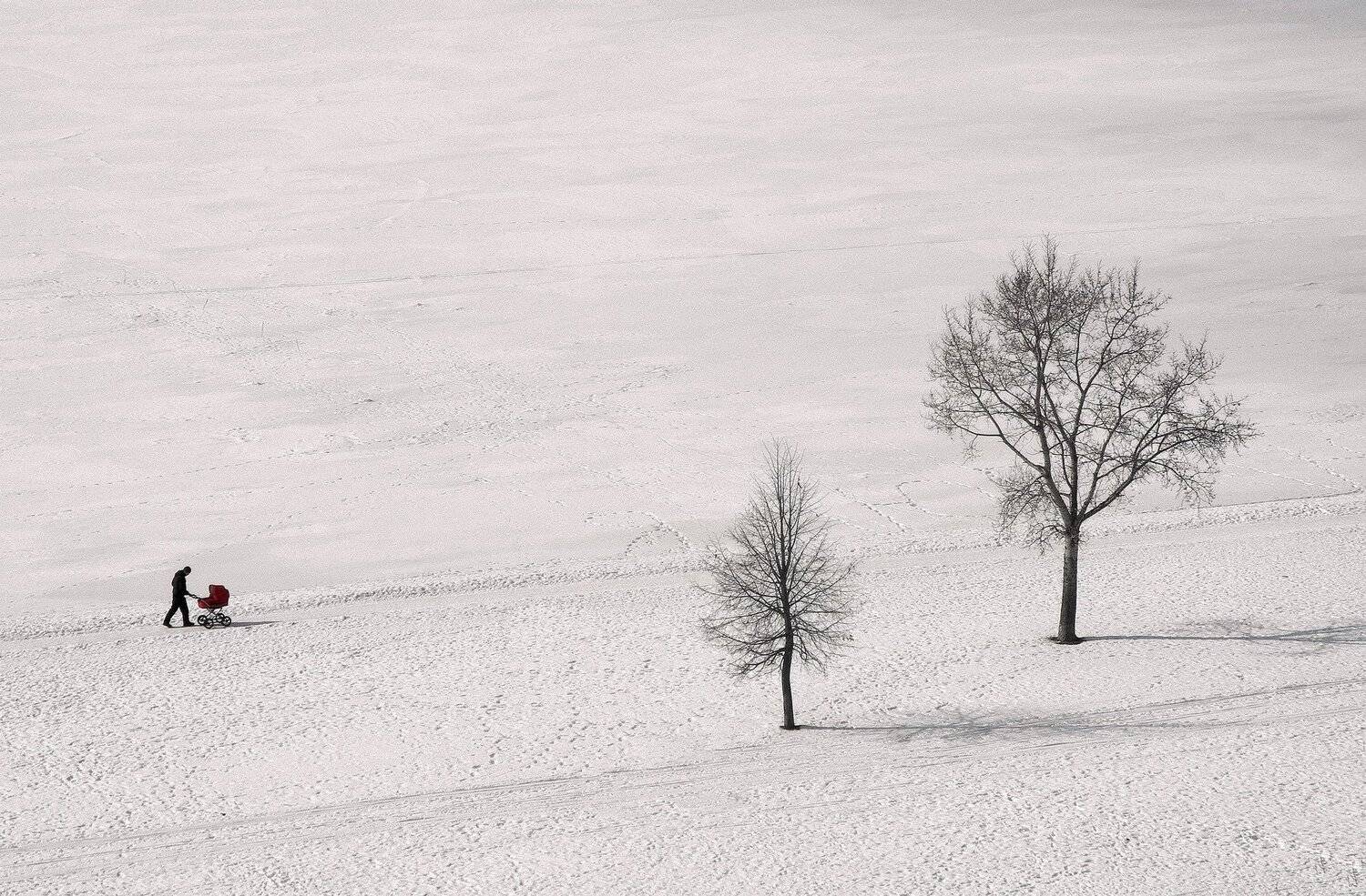 , Владимир Брагилевский