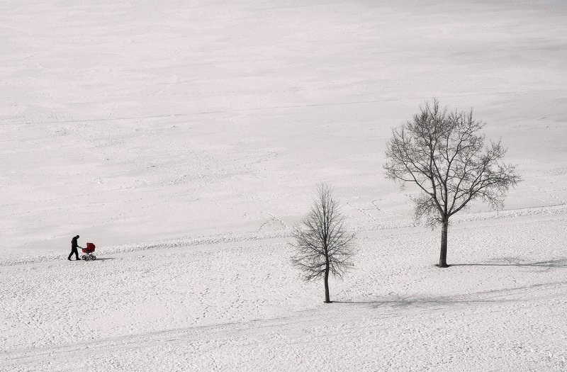 Зимняя прогулкаphoto preview