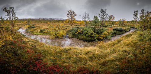 Colours of autumn