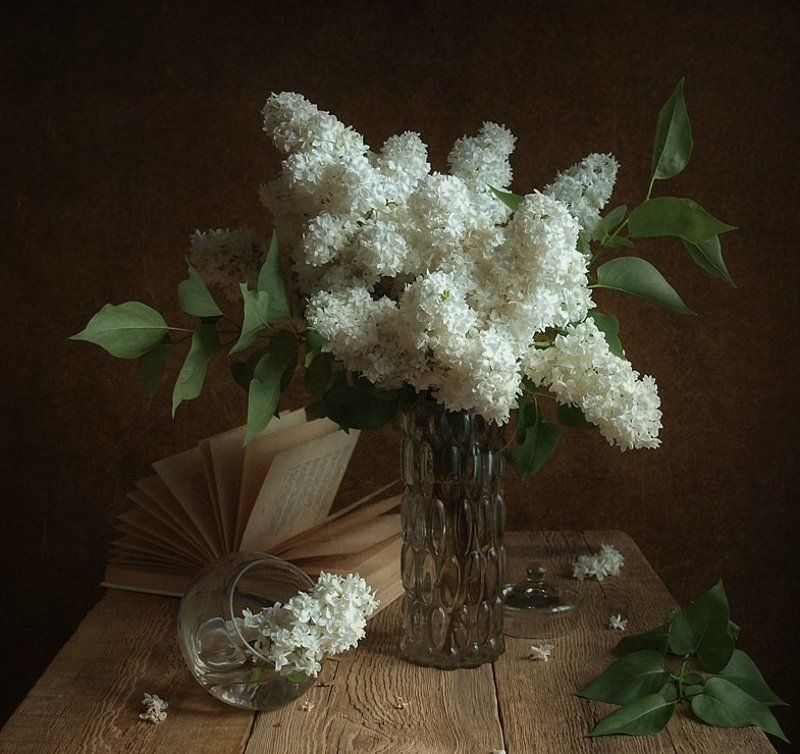 С белой сиреньюphoto preview