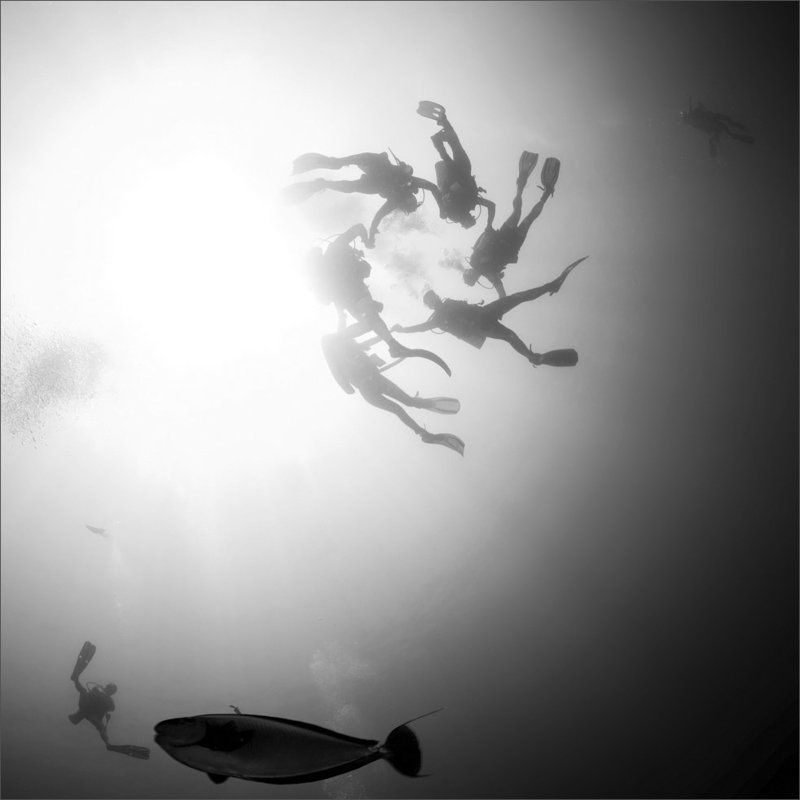 чудно Хороводыphoto preview