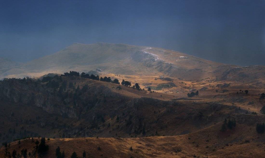 , Гамидов Мурад