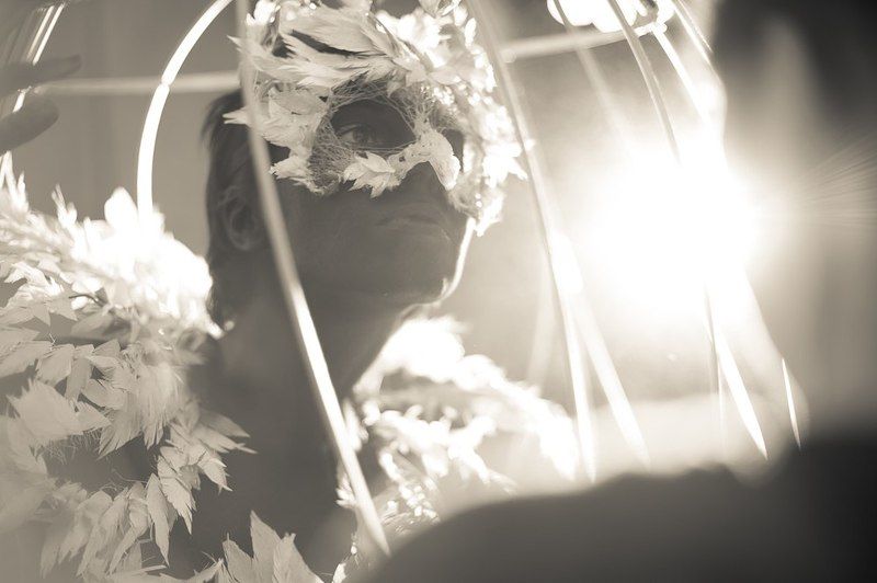 птица, клетка, перья, портрет photo preview