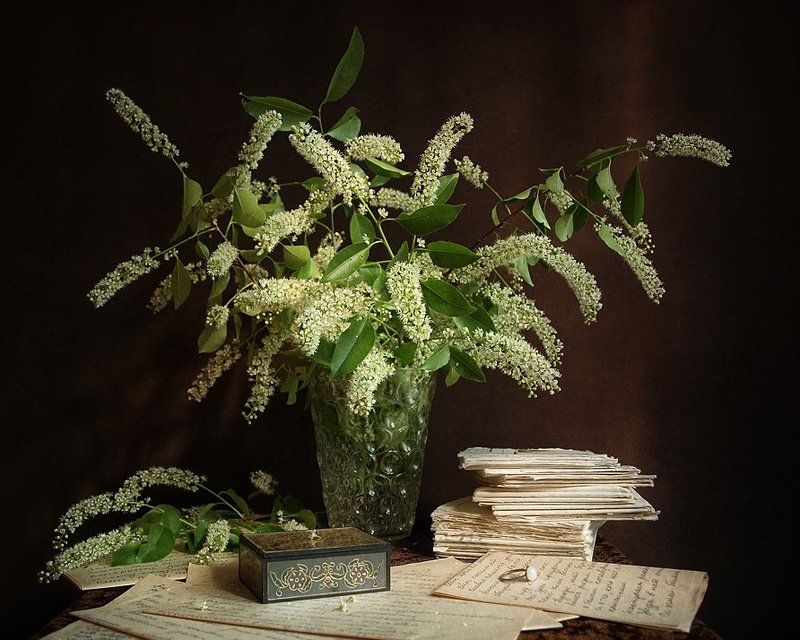 С черёмухой, или Время перечитывать письма...photo preview