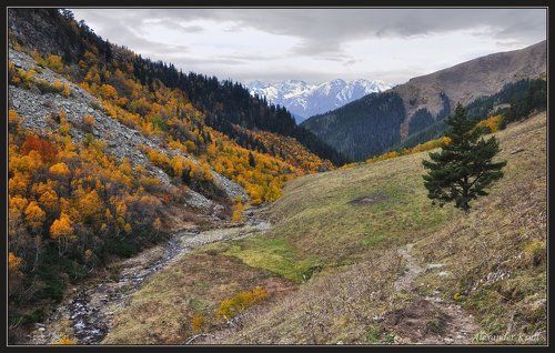 Осенними тропами...