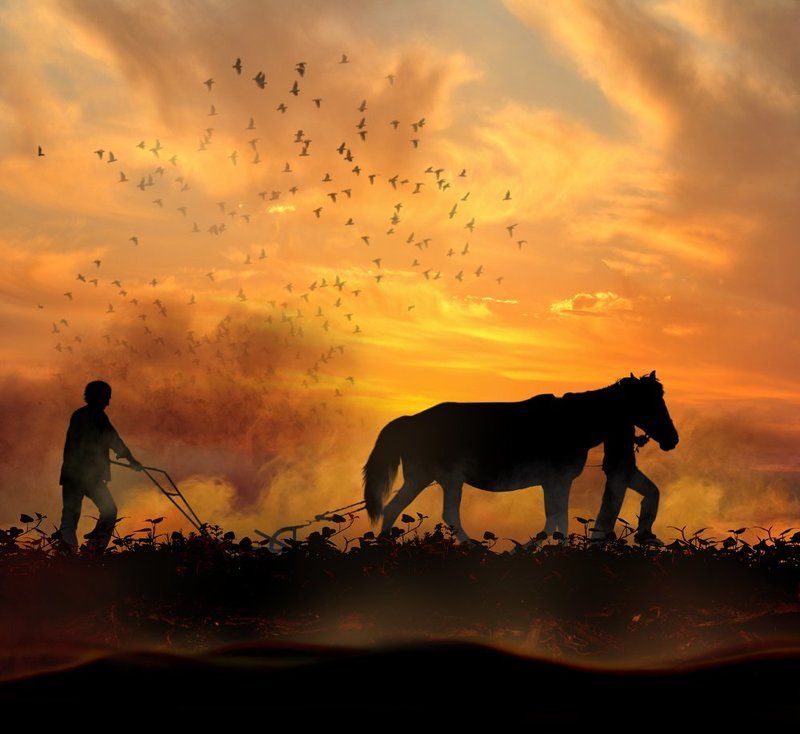 Silhouetes