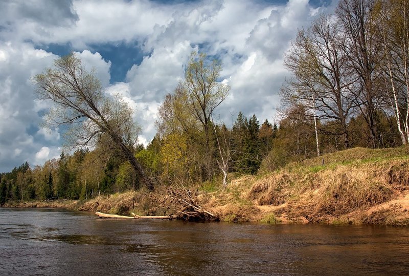 а, мимо пропливали берегаphoto preview