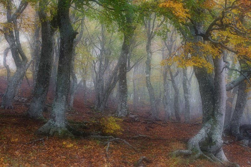 Сонная лощинаphoto preview