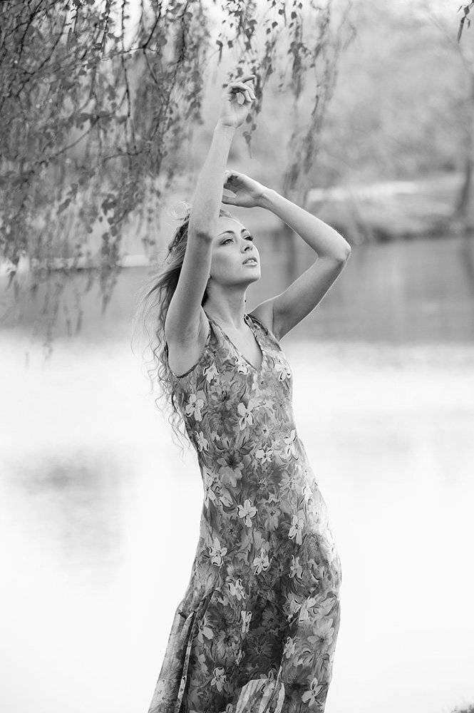 , Владимир Белый