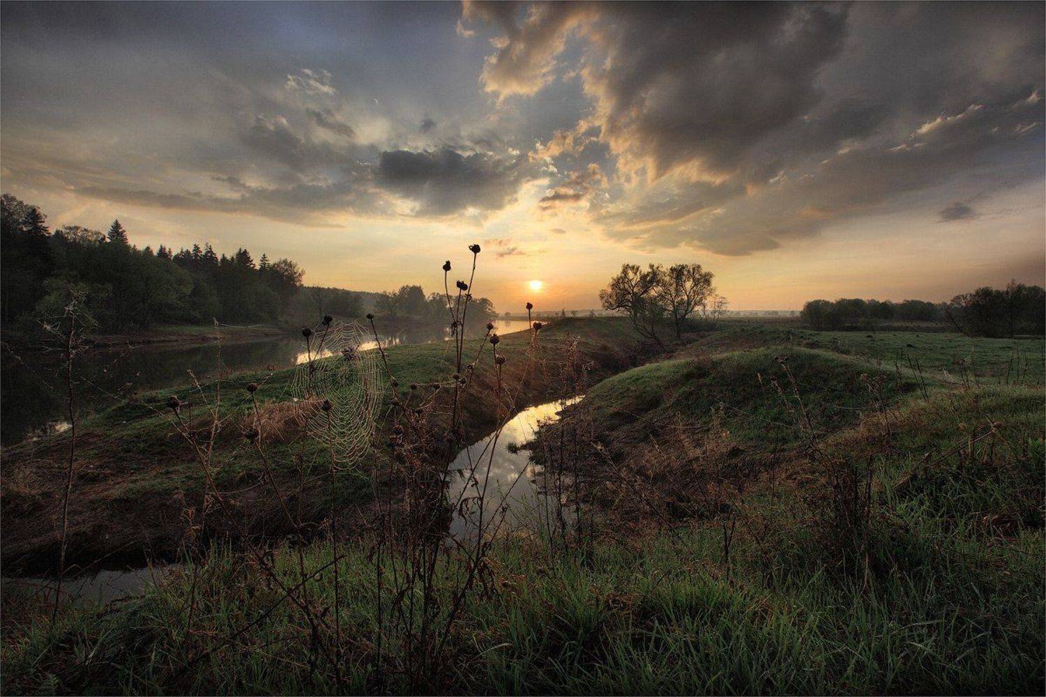 рассвет, паутина, река, Сергей