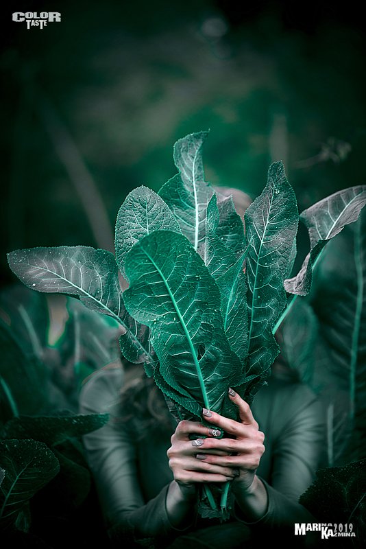 Хрен Вамphoto preview