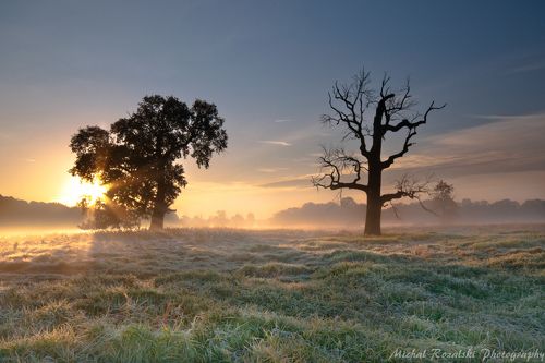 At sunrise