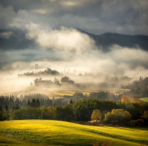 Misty morning