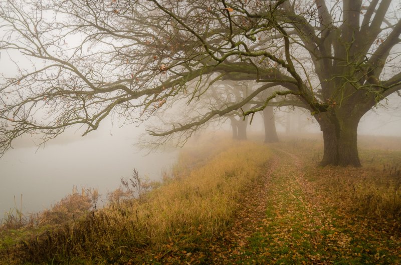 Autumn pathphoto preview