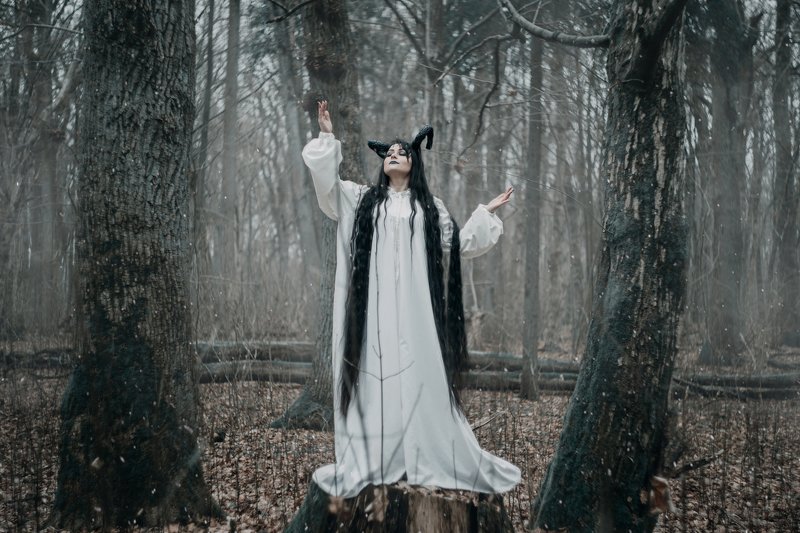 The Guestphoto preview