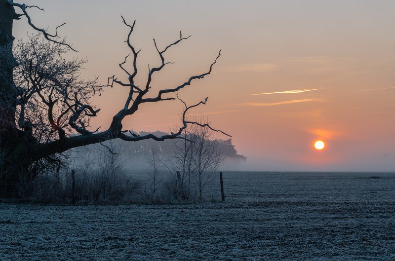 I will catch youphoto preview