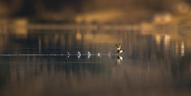 Взлёт.photo preview