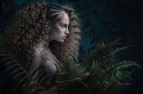 Fern blossom