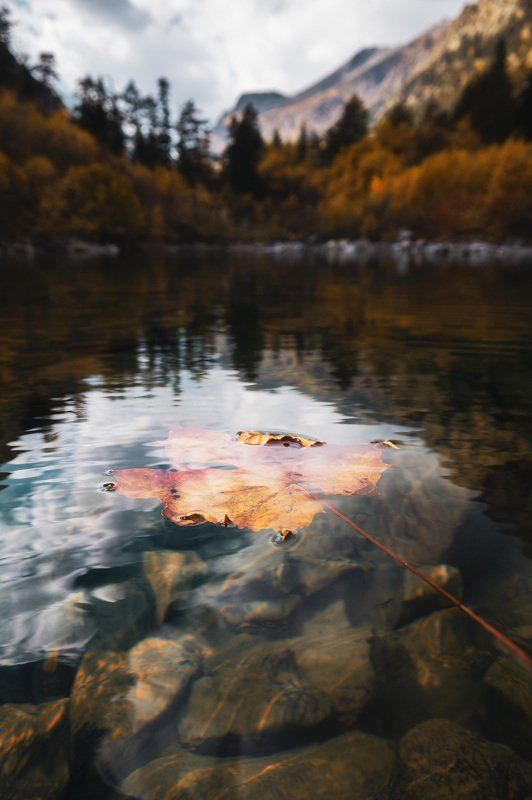 mountains leaf lake autumn cold nature caucasus Lonely autumn.photo preview