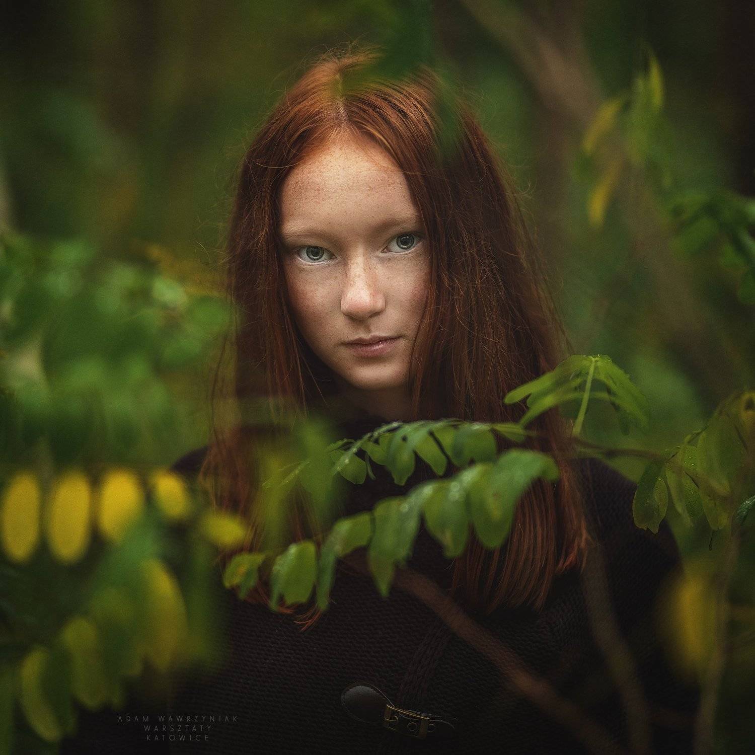 , Adam Wawrzyniak
