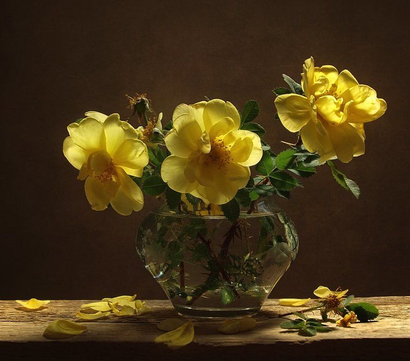 Я завещаю вам шиповник...photo preview