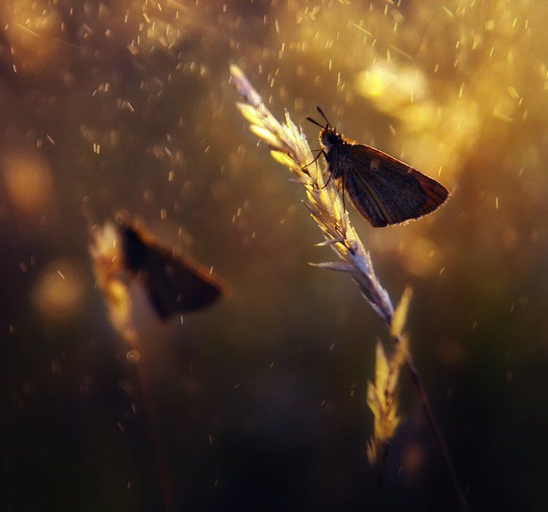 *** time to sleepphoto preview