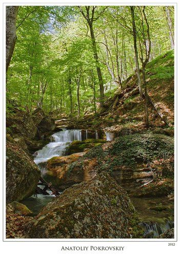 Зимняя стужа укрылась в горном ручье. Пришла весна.