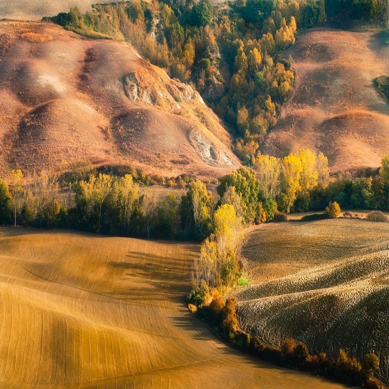 светящийся крайphoto preview