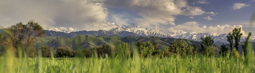 Soñando con California