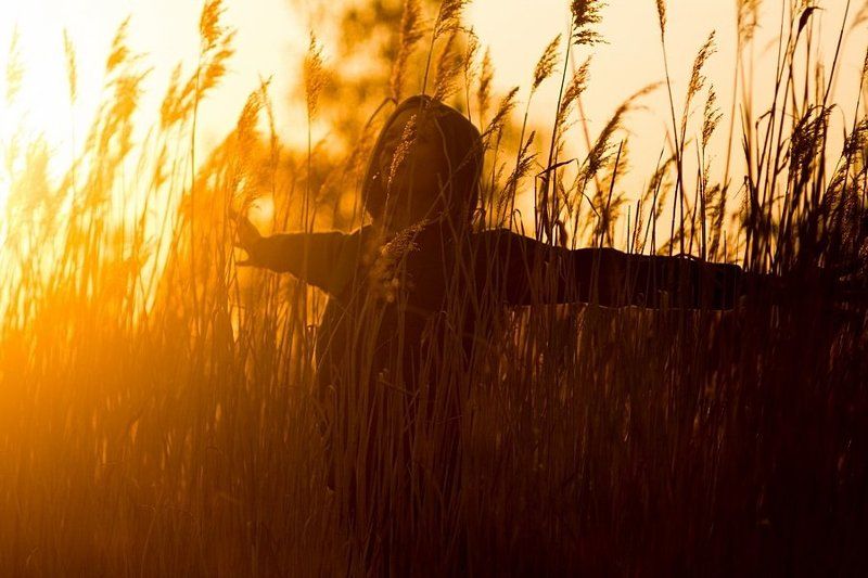 На закатеphoto preview