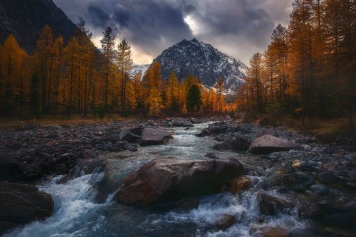 Алтайская