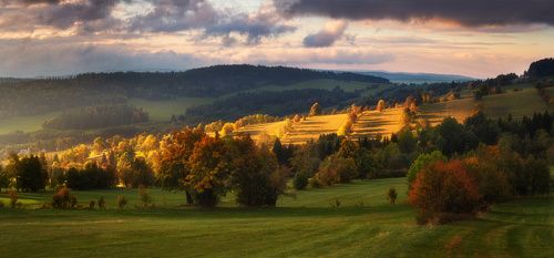 Color of Autumn