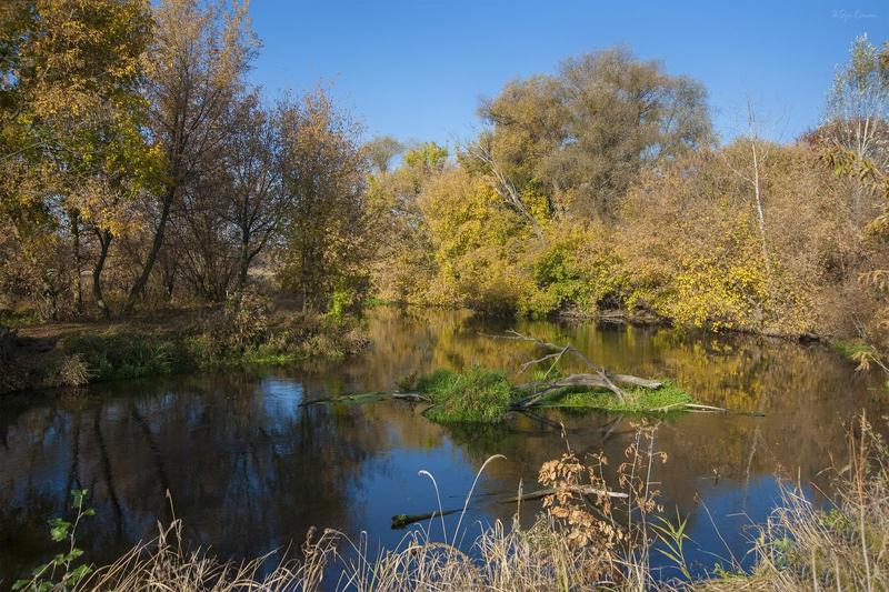 осень,утро,берег,река Утро лета бабьего ...photo preview