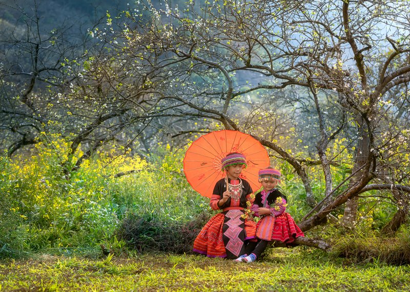 Listening to Springphoto preview