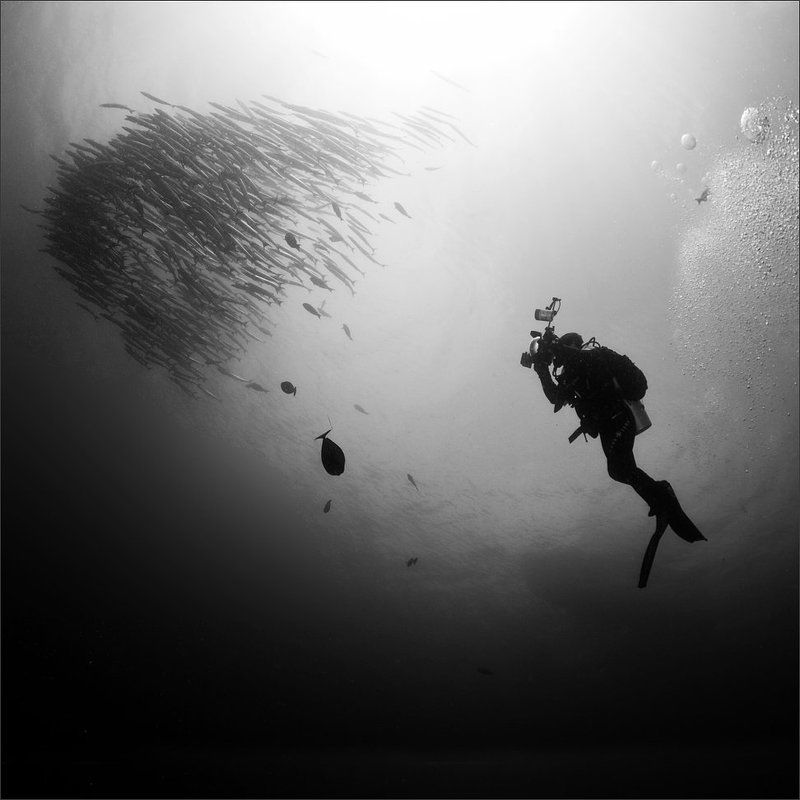 гдетотам За косячкомphoto preview