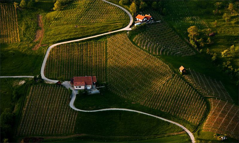 Словения Эманация социумаphoto preview