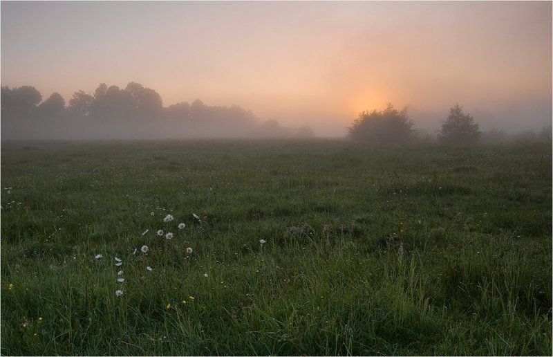 когда просыпается утро...photo preview