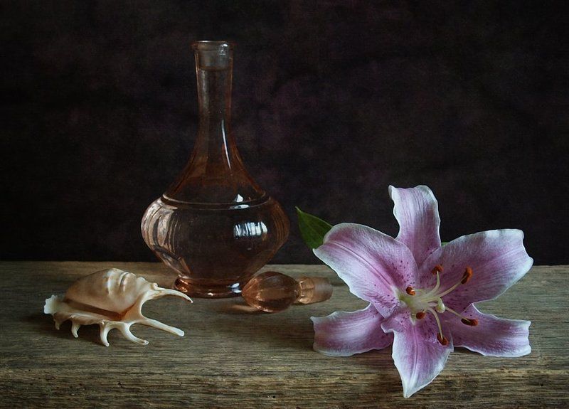 На пороге летаphoto preview